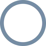 Circle SVG Icon